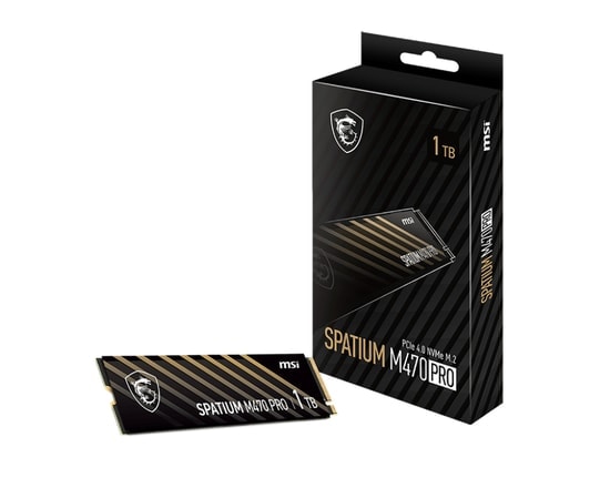 MSI Spatium M470 PRO 1TB PCIe 4.0 NVMe M.2 SSD - 6000MB/s Okuma, 4500MB/s Yazma Hızı, 3D NAND SSD