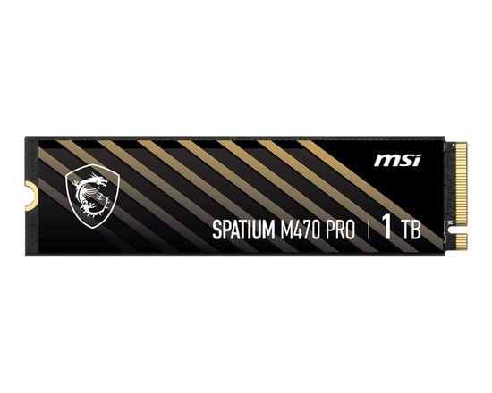MSI Spatium M470 PRO 1TB PCIe 4.0 NVMe M.2 SSD - 6000MB/s Okuma, 4500MB/s Yazma Hızı, 3D NAND SSD